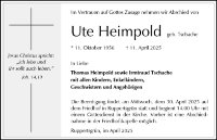 eine Anzeige